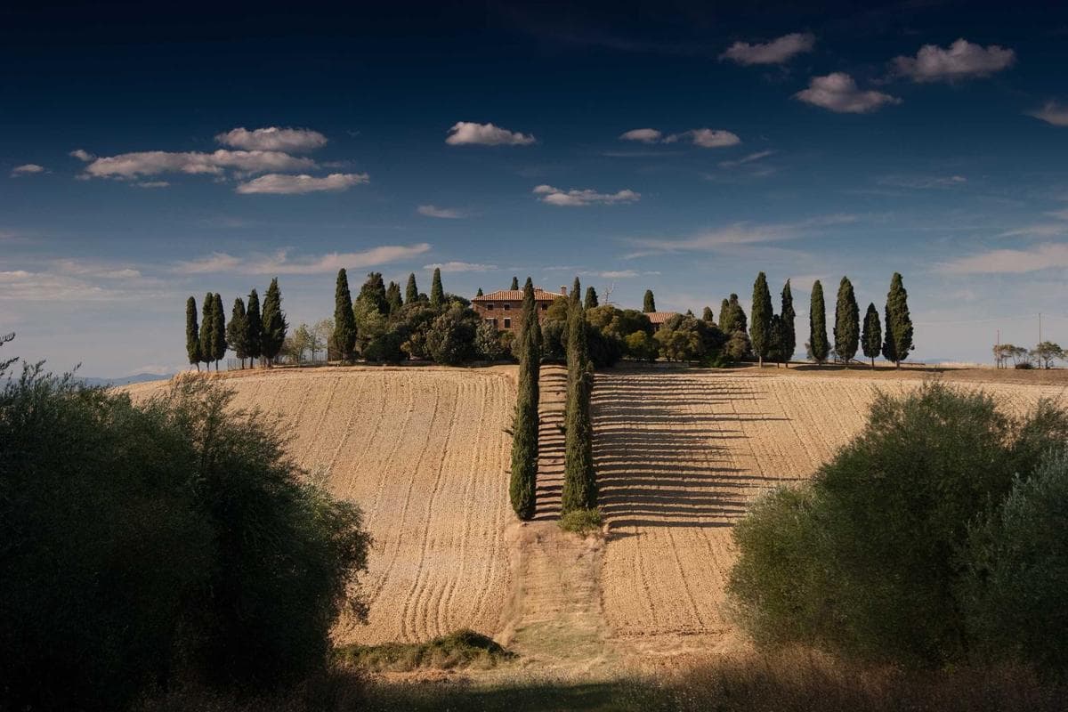 Paseo por las Viñas Ecológicas