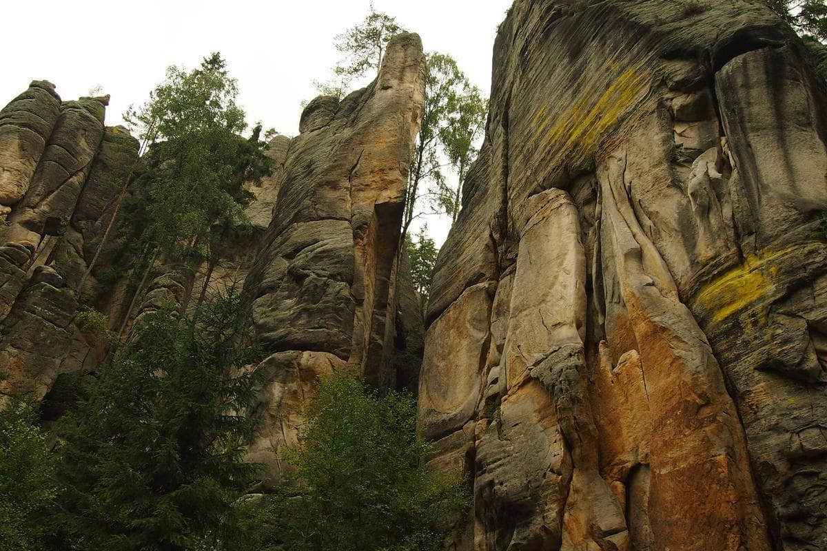 Tour por el Castillo y la Bodega